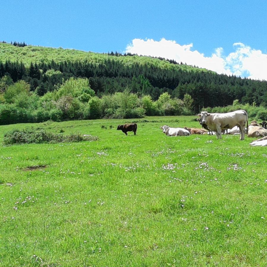 Apartamentos Turisticos Real Valle Ezcaray Zorraquín Eksteriør bilde